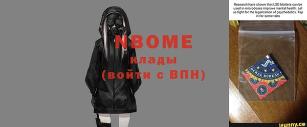 прущие грибы Нефтекумск