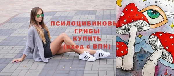 прущие крисы Абаза